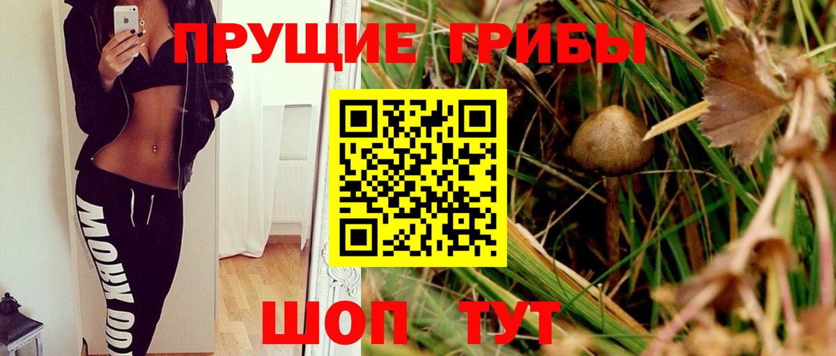 Псилоцибиновые грибы Psilocybine cubensis Моршанск